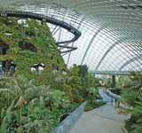 Gardens by the Bay