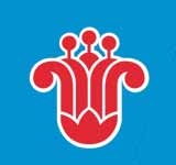 China Southern Airlines