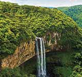 Amazon rainforest