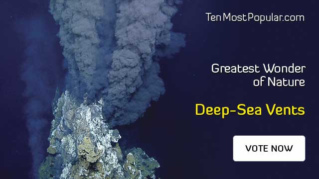 Deep-Sea Vents (Hydrothermal Vent)