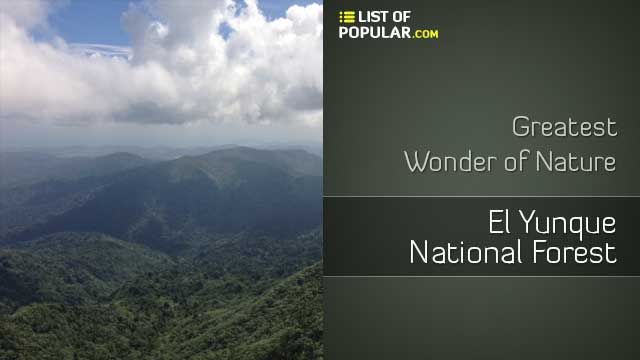 El Yunque National Forest