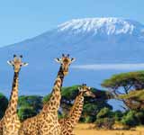 Kilimanjaro National Park