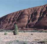 Uluru National Park