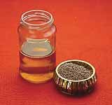 Mustard Oil