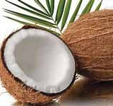 Coconut