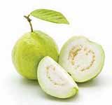 Guava