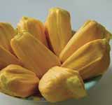 Jackfruit