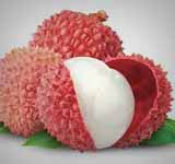 Lychee