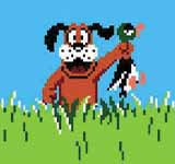 Duck Hunt