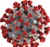 Coronavirus Pandemic (COVID-19)