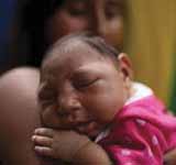 Zika virus