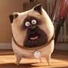 The Secret Life of Pets (2016)