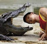 Crocodile Wrestler