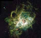 Triangulum Galaxy (M33, NGC 598)