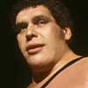 Andre the Giant